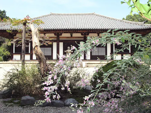 Akishino-dera Temple A traditional Japanese temple with a tiled roof is seen behind flowering branches and a small garden with rocks and greenery. The scene is peaceful and sunlit.