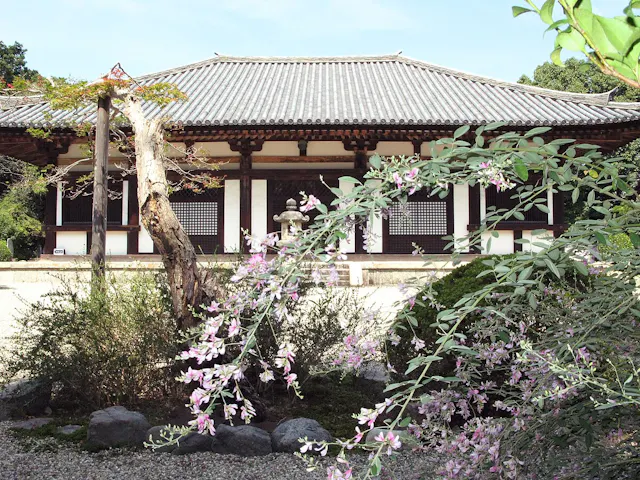 A traditional Japanese temple with a tiled roof is seen behind flowering branches and a small garden with rocks and greenery. The scene is peaceful and sunlit.