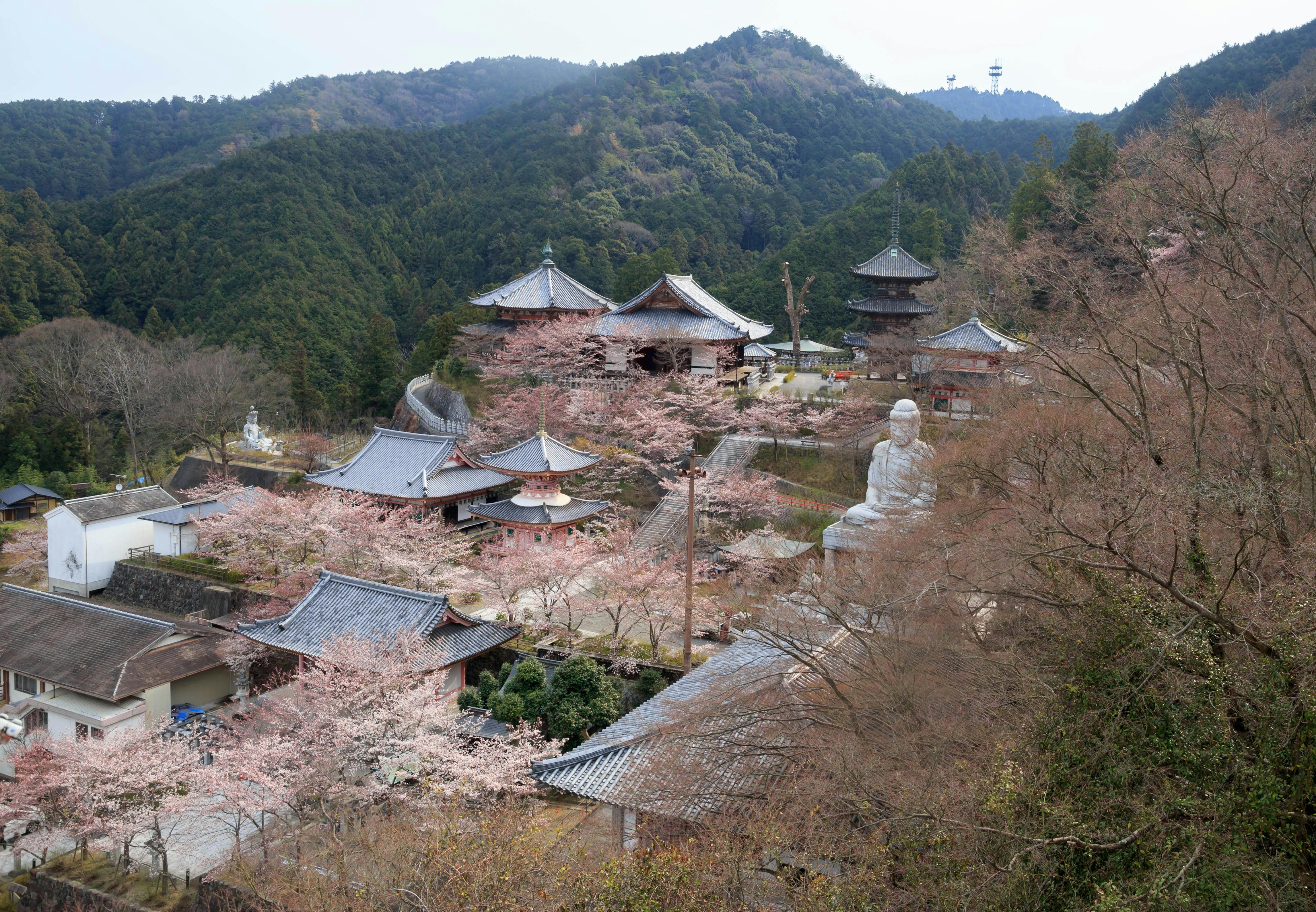 Tsubosakadera Temple