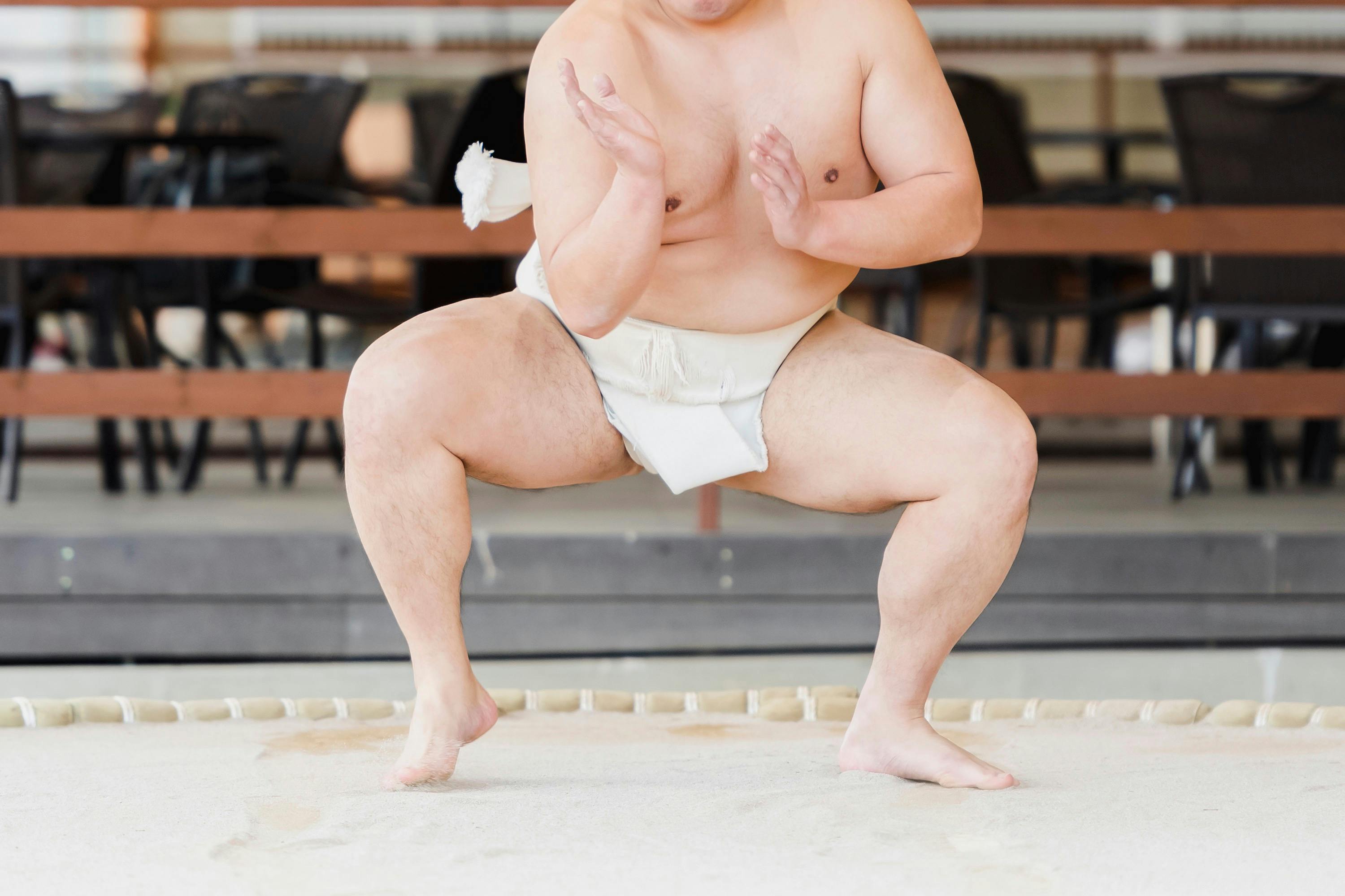 Sumo Wrestler