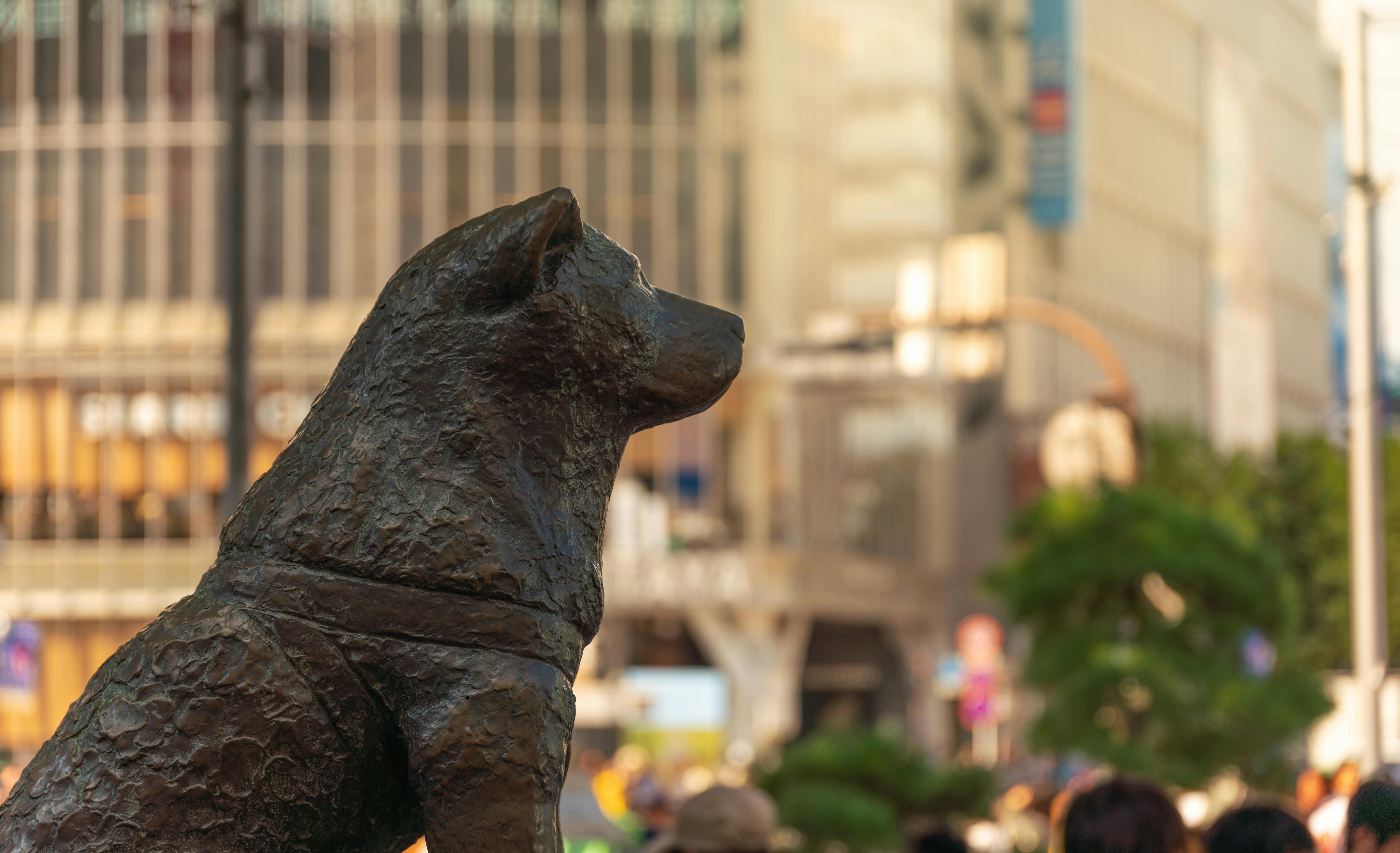 A close-up of a bronze dog statue facing left, with an urban city background featuring blurred buildings and people.