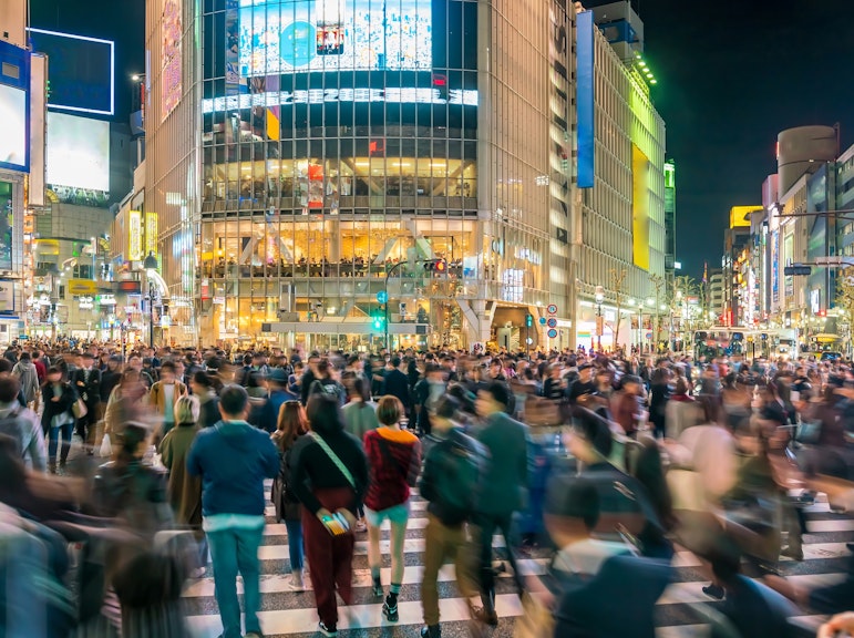 4시간 시부야-신주쿠 야간 투어