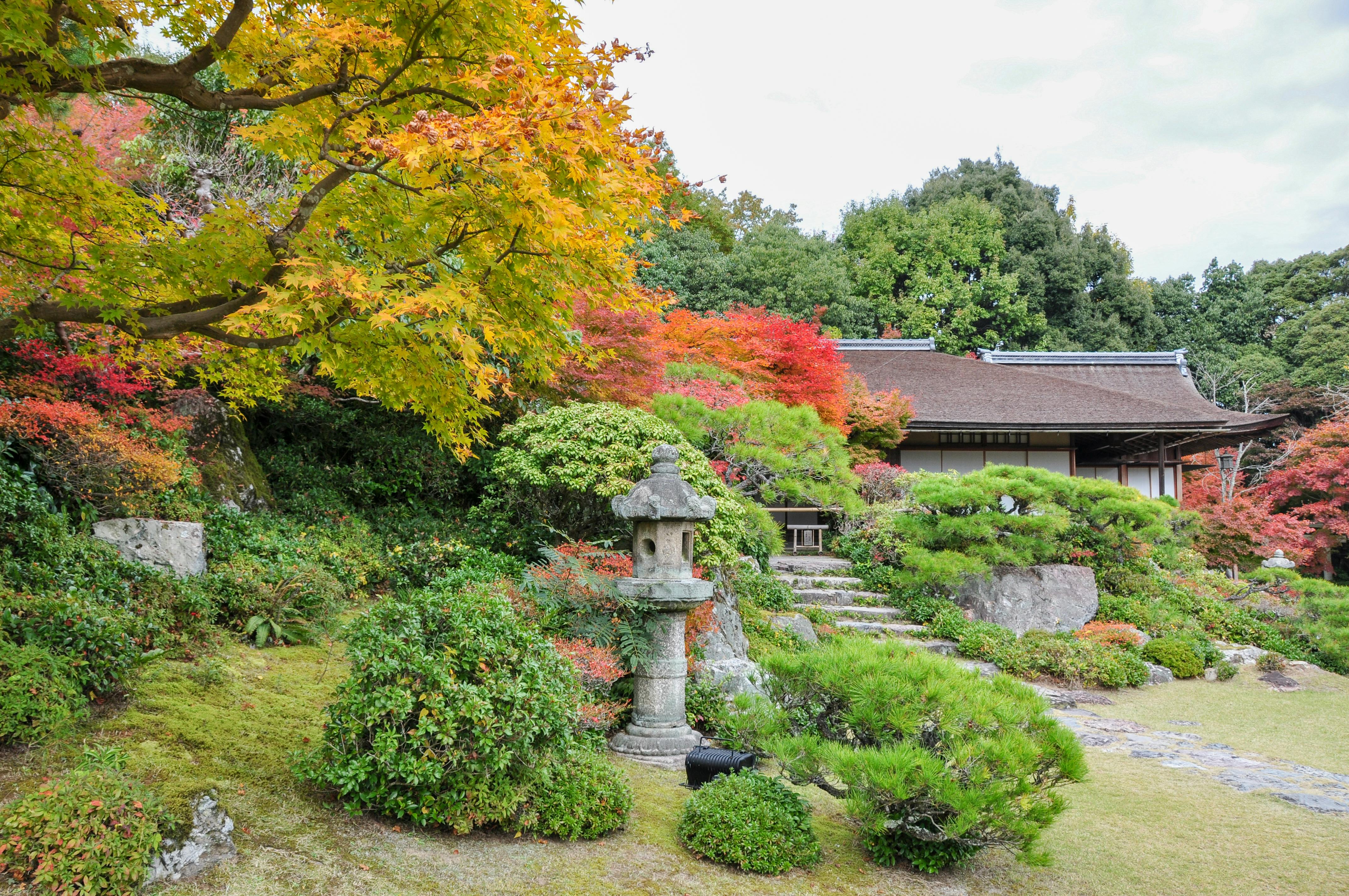 A traditional Japanese garden with vibrant autumn foliage, a stone lantern, lush green shrubs, and a wooden building in the background. Stone steps lead up through the tranquil landscape.