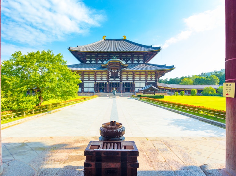 英語ガイド付き観光バス「パーフェクト奈良公園ツアー」