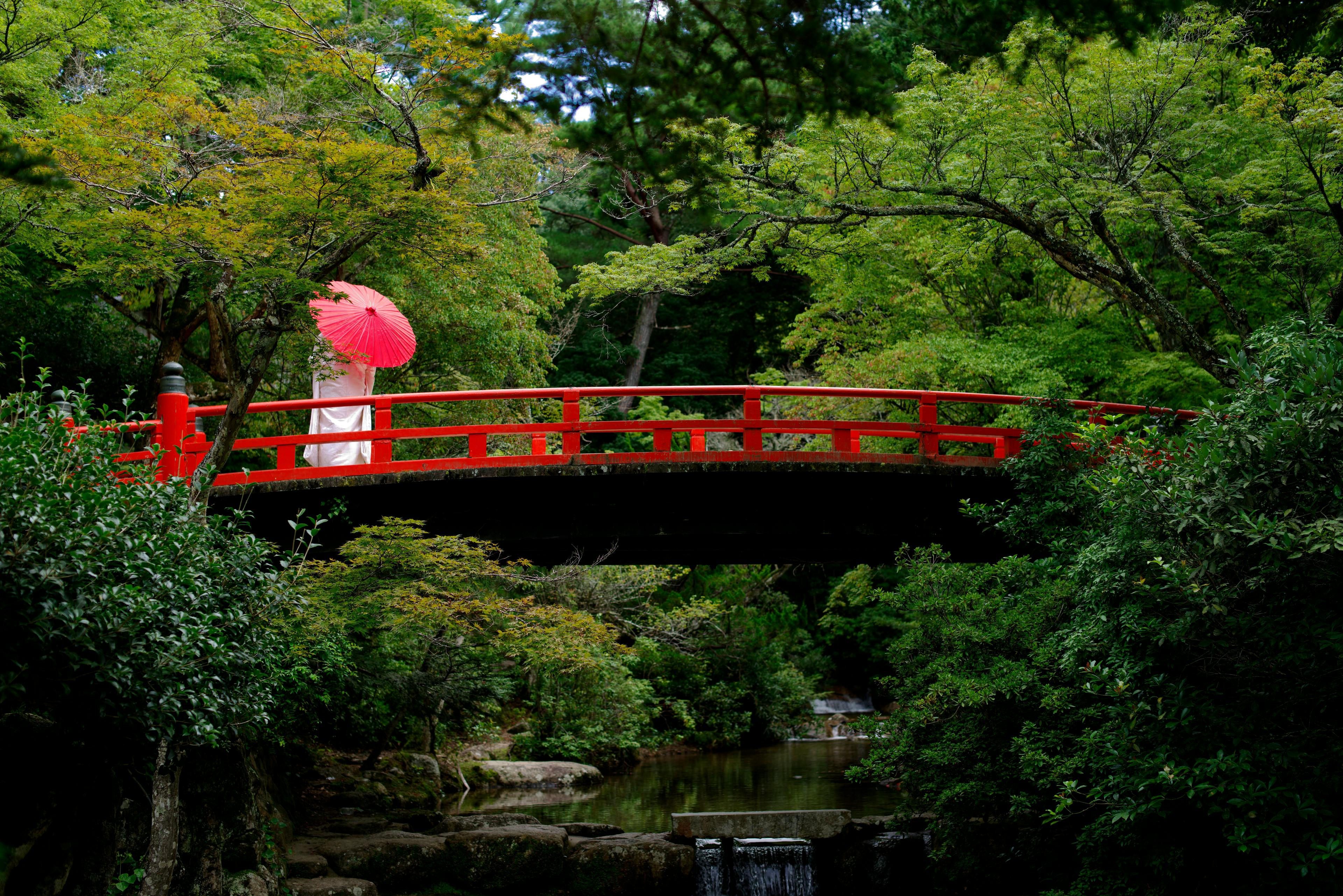 A person in white holding a red parasol stands on a bright red arched bridge surrounded by lush green trees over a calm stream in a peaceful garden setting.