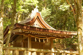 A small traditional Japanese wooden shrine with a curved roof sits among green trees, sunlight filtering through the branches and illuminating parts of the structure. A stone fence is visible in the foreground.