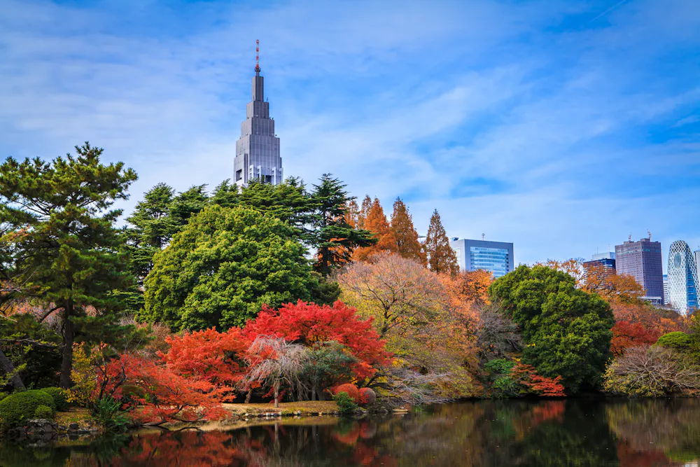 Shinjuku Gyoen