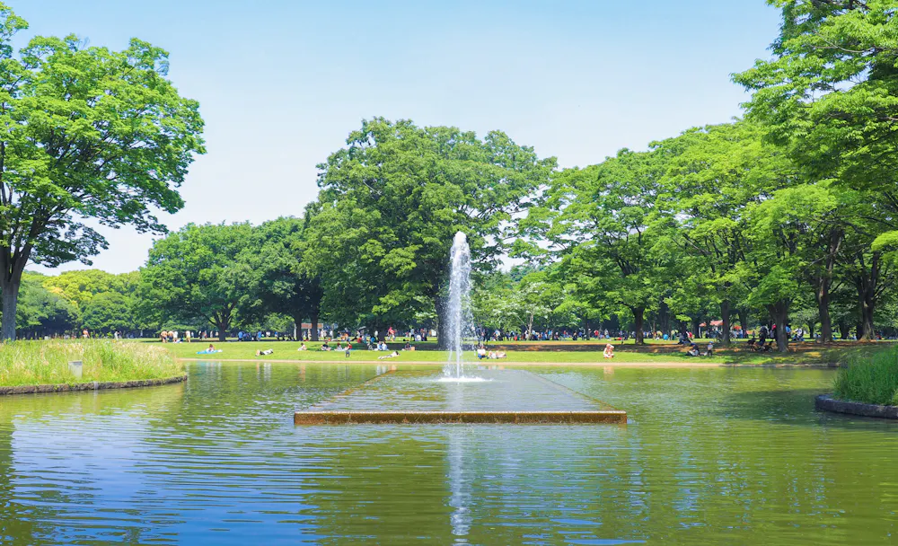 Yoyogi Park