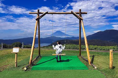 Mount Fuji and Hakone Tour