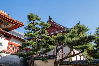 Sofukuji Temple