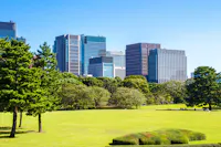 A city skyline with modern high-rise buildings contrasts against a lush, green park in the foreground. Clear blue sky and several trees in the park enhance the vibrant scene on a sunny day.