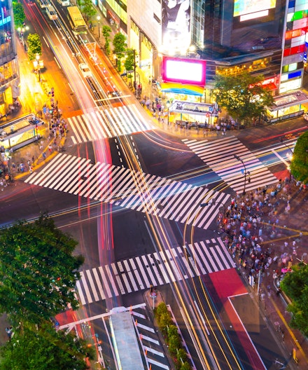 프리미엄 차량으로 즐기는 풀데이 몰입형 도쿄 개인 투어