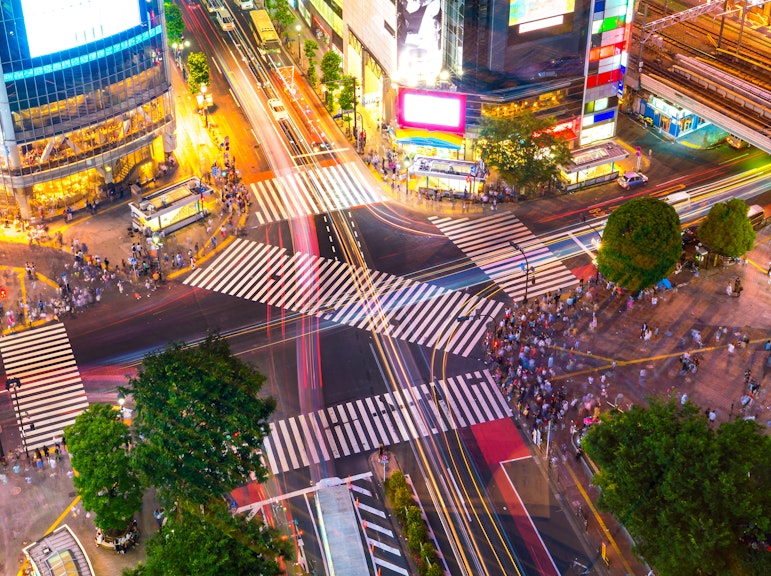 Full-day Immersive Private Tokyo Tour by Premium Car