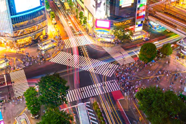 Shibuya Crossing
