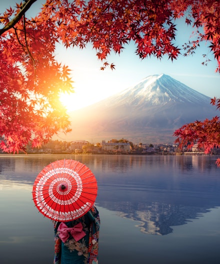 Full-Day Private Tour to Mt Fuji by Luxury Vehicle