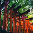 伏見稲荷大社の専門ガイド付きハイキングツアー