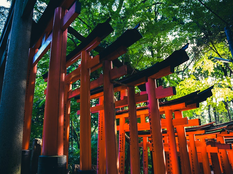 専門家と一緒にハイキングしながら伏見稲荷深い神社ツアー