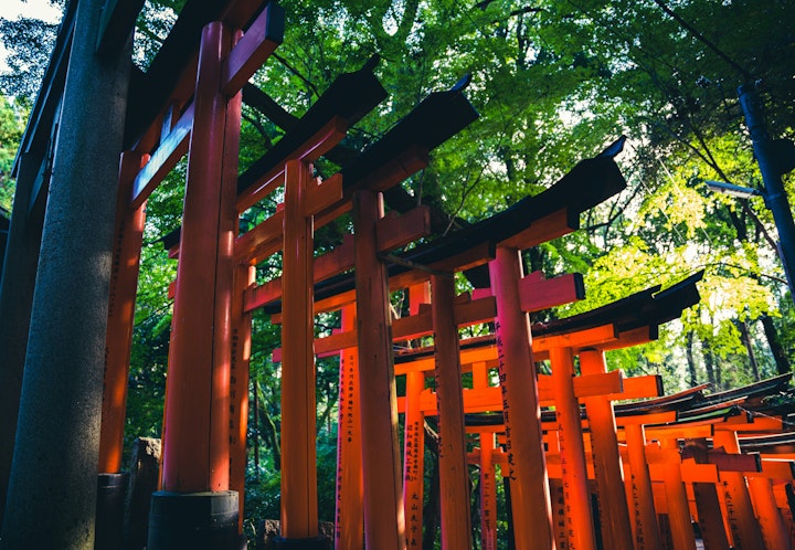 Kyoto Fushimi Inari Shrine Hiking Tour with Expert Guide