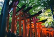 伏見稲荷大社の専門ガイド付きハイキングツアー