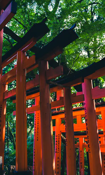 Fushimi Inari Taisha Fushimi Inari Taisha
