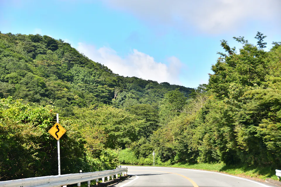 The Turnpike Hakone climbs from Odawara toward the Hakone ridge. A smooth two-lane mountain road curving between forested hills on the Hakone Turnpike under a blue sky