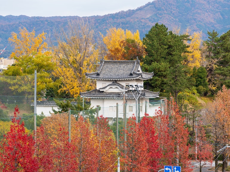 二条城サムライ城、ネイティブ英語を話す京都のトップガイド付き