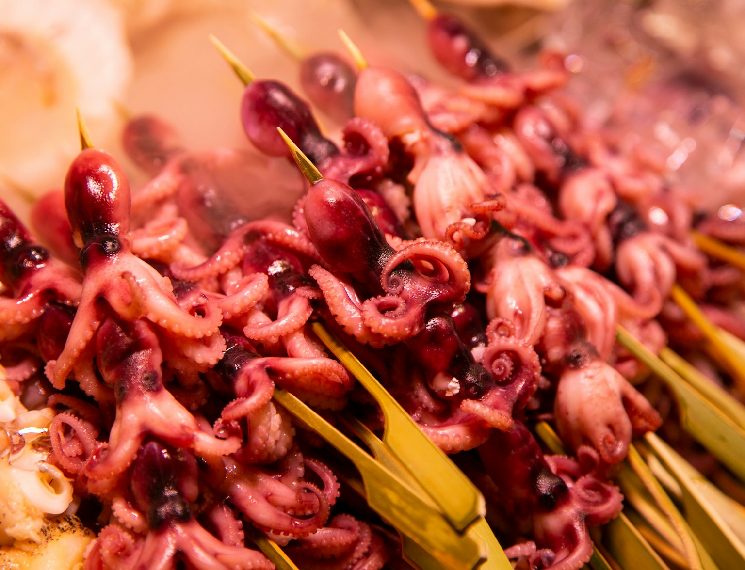 Nishiki Market Nishiki Market