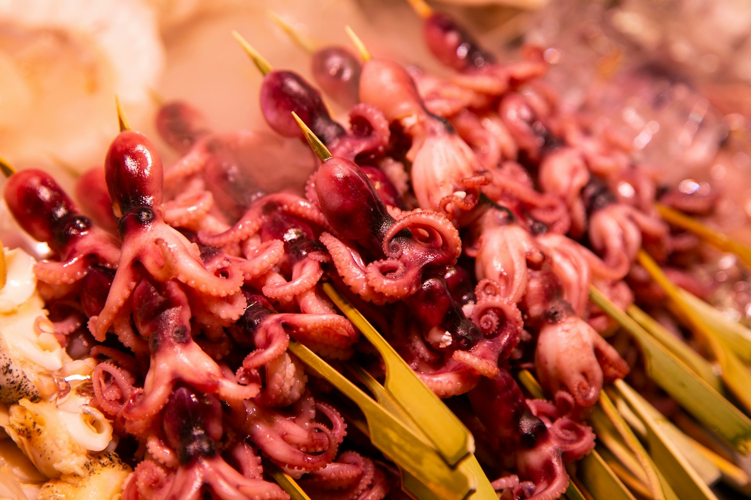 Nishiki Market