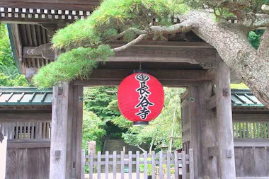 Kamakura Temples Tour