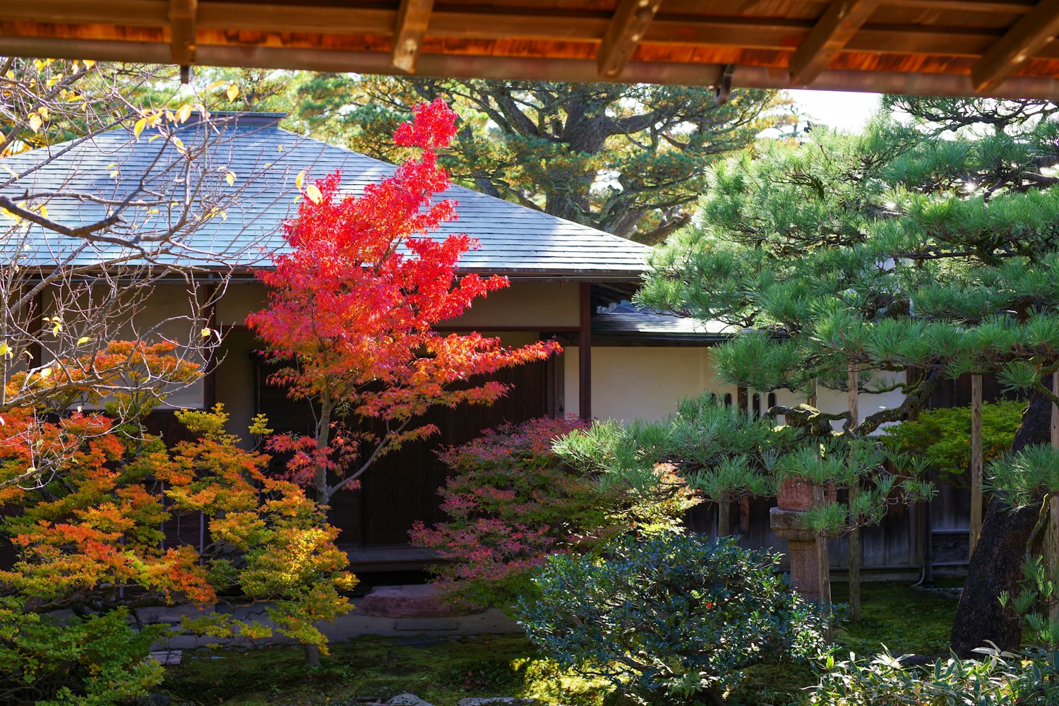 Seisonkaku Villa