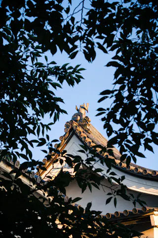 Decorative roof of a traditional Japanese building, partially framed by tree branches and leaves, with a clear blue sky in the background.