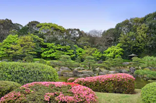 A serene Japanese garden with vibrant pink azalea bushes, green shrubs, manicured trees, rocks, and a pond, set against a backdrop of tall trees under a clear blue sky.
