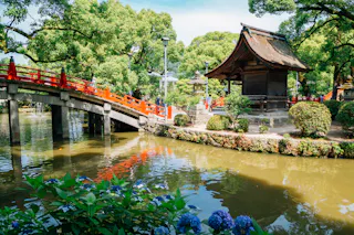 A traditional Japanese wooden shrine sits beside a pond, with a curved red bridge crossing over the water. Lush green trees and blooming hydrangeas surround the peaceful garden scene.