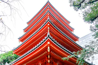 Tochoji Temple
