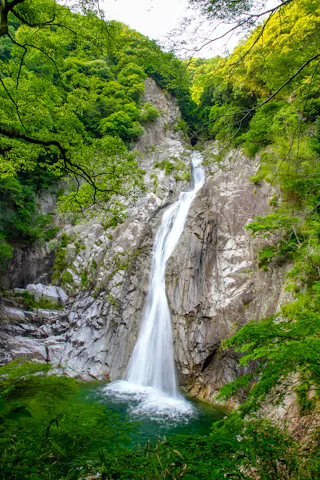 A tall, narrow waterfall cascades down rocky cliffs into a clear pool, surrounded by lush green trees and foliage. Bright sunlight filters through the leaves, illuminating the scene.