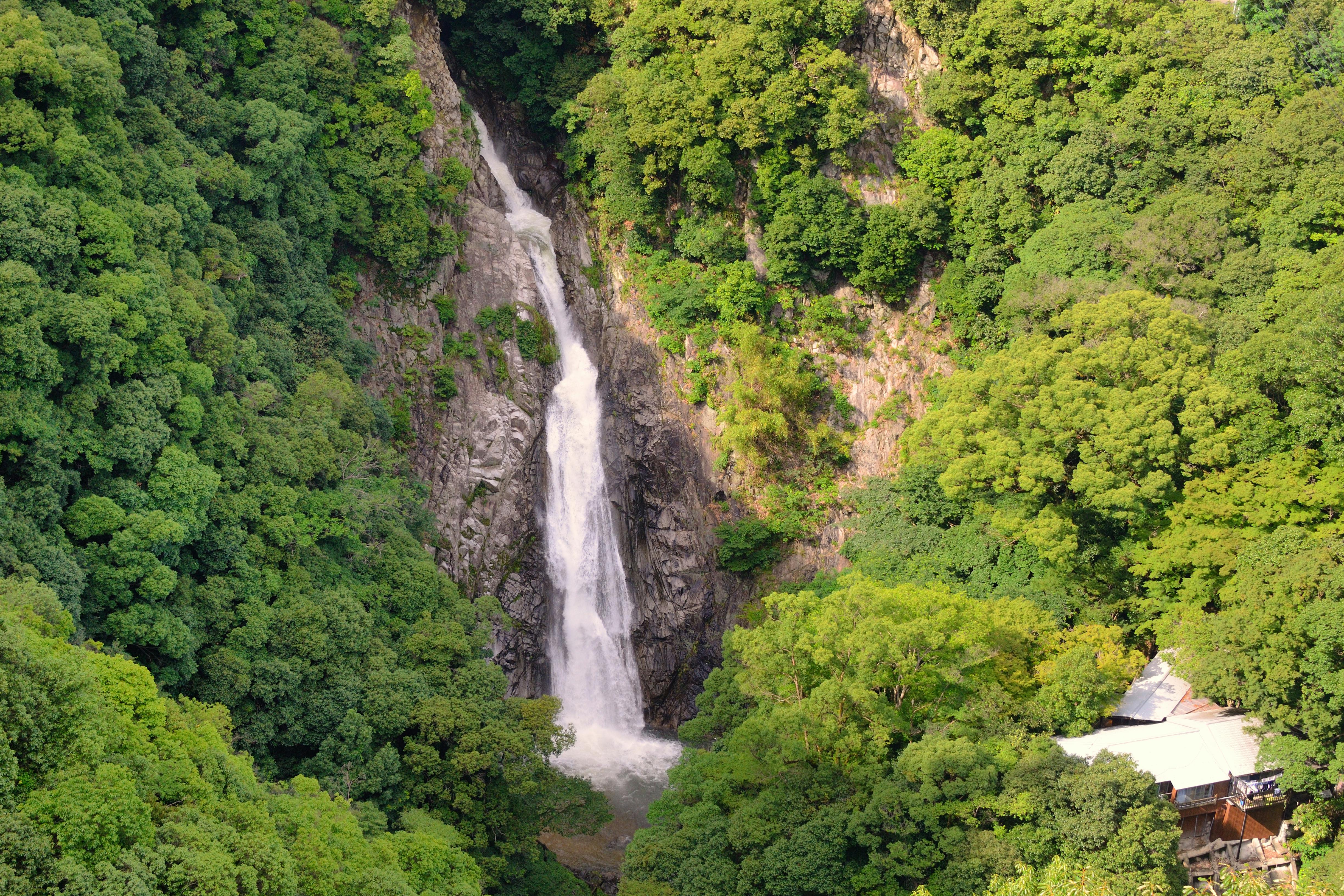 A tall waterfall cascades down a rocky cliff surrounded by dense, vibrant green forest. At the bottom right corner, a small building with a gray roof is partly visible among the trees.