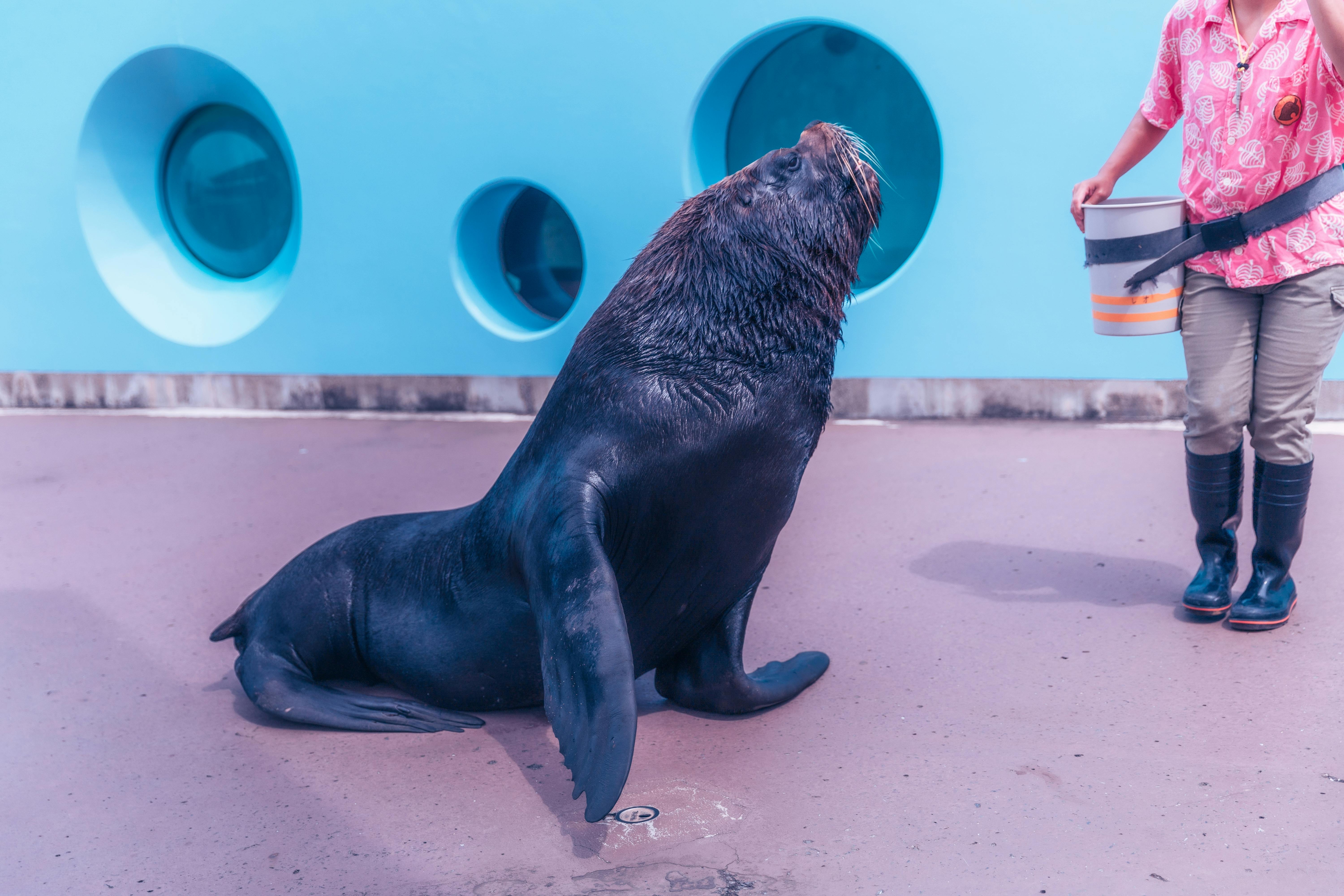 Yokohama Hakkeijima Sea Paradise