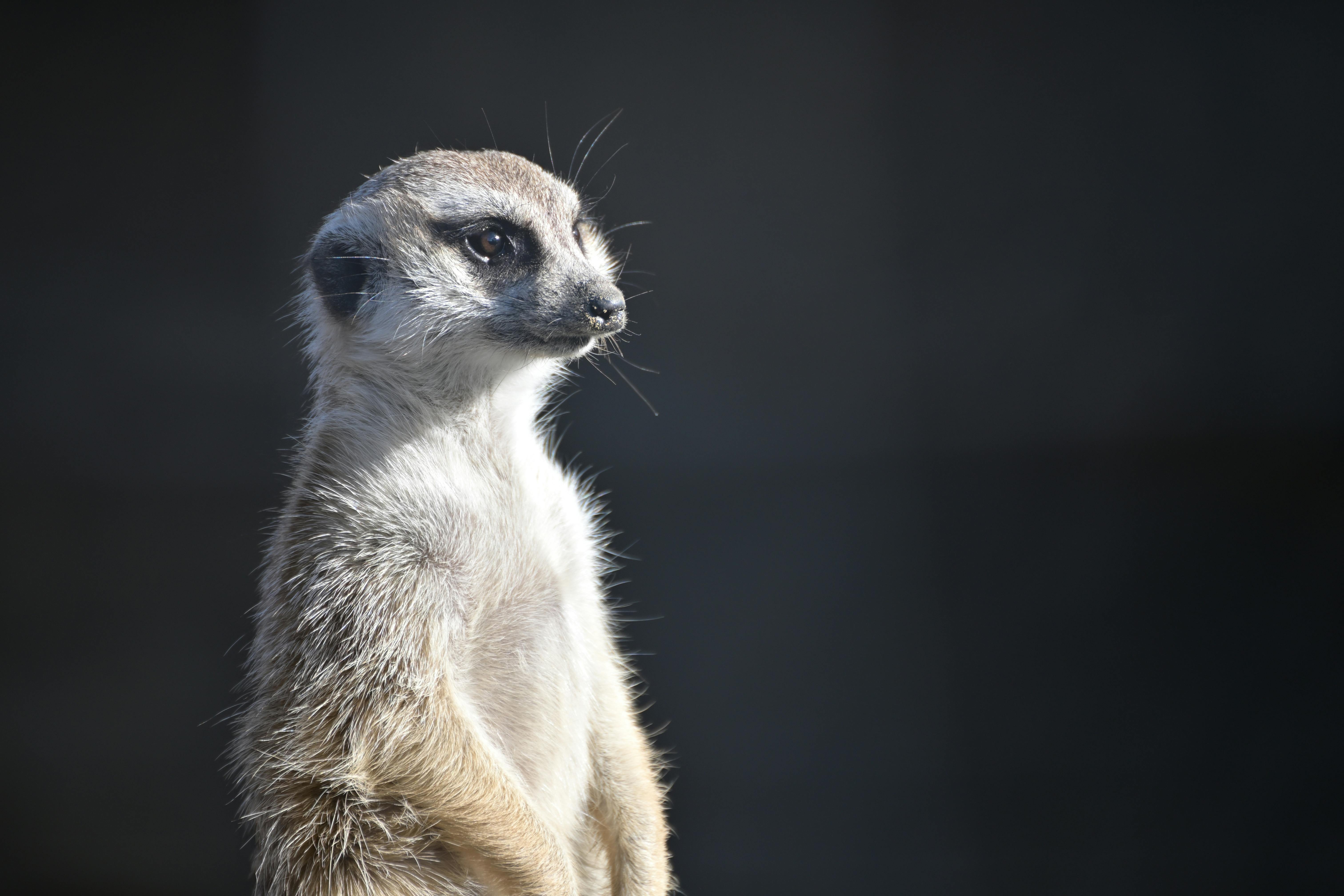 Yokohama Zoological Gardens “Zoorasia”