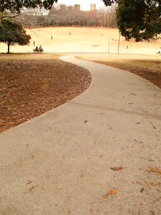 A winding concrete path curves through a park with dry grass and scattered trees. People are walking and sitting in the distance on a cloudy day.