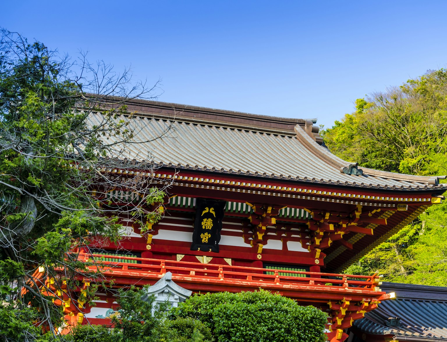 Tsurugaoka Hachimangu Shrine Tsurugaoka Hachimangu Shrine