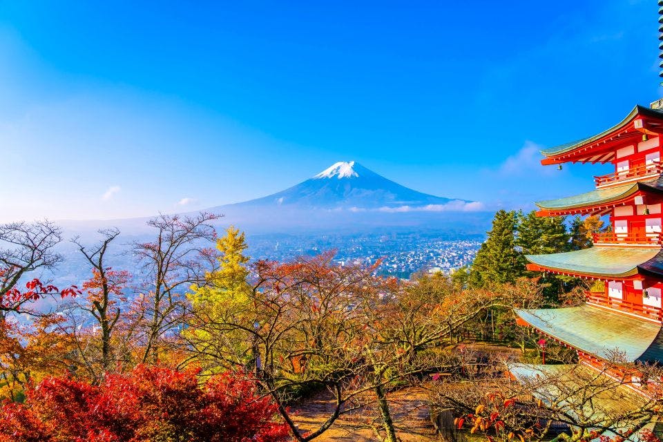 도쿄에서: 후지산 또는 하코네 프라이빗 관광 당일치기 여행