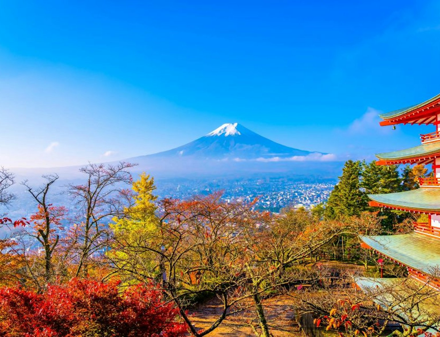 Mt. Fuji and Hakone Tour Mt. Fuji and Hakone Tour