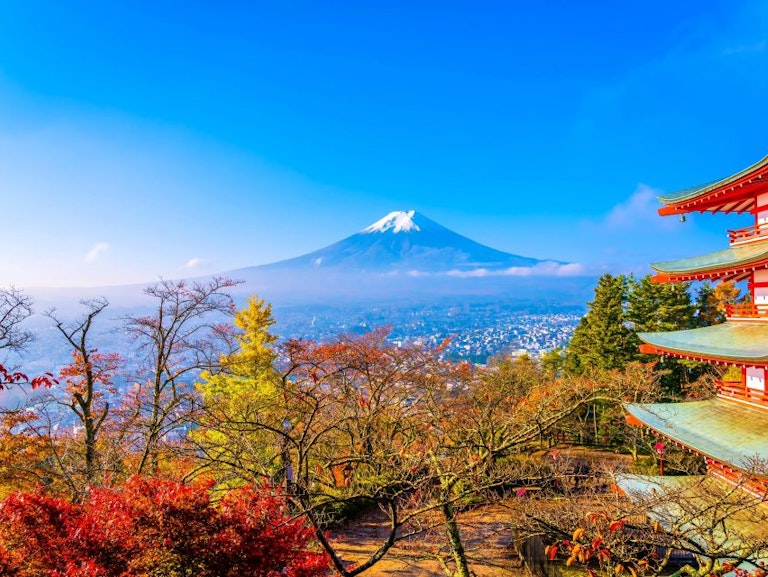 Eshaklarni sikish suratlari Katta eshak shafqatsiz anal