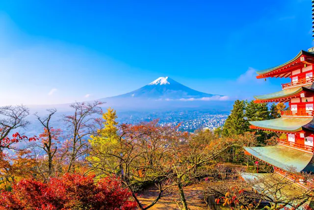 Mt. Fuji and Hakone Tour