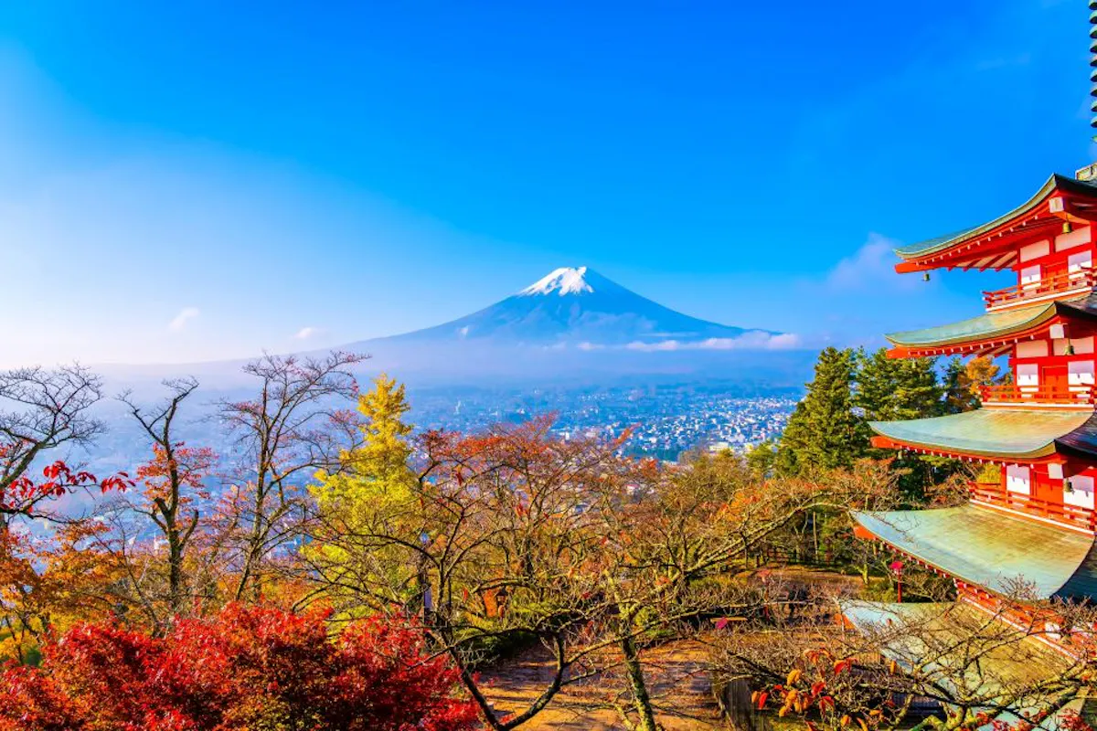 Mt. Fuji and Hakone Tour