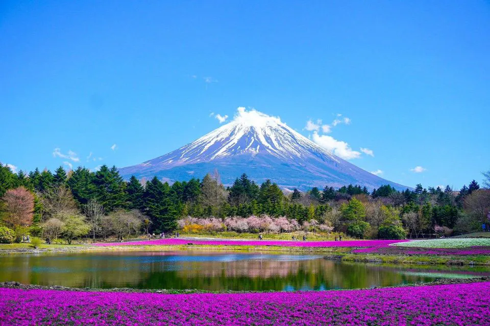 Mt. Fuji and Hakone Tour