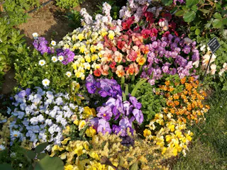 Yamate Italian Garden