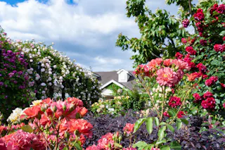 Yokohama English Garden