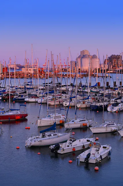 Yokohama Bayside Marina