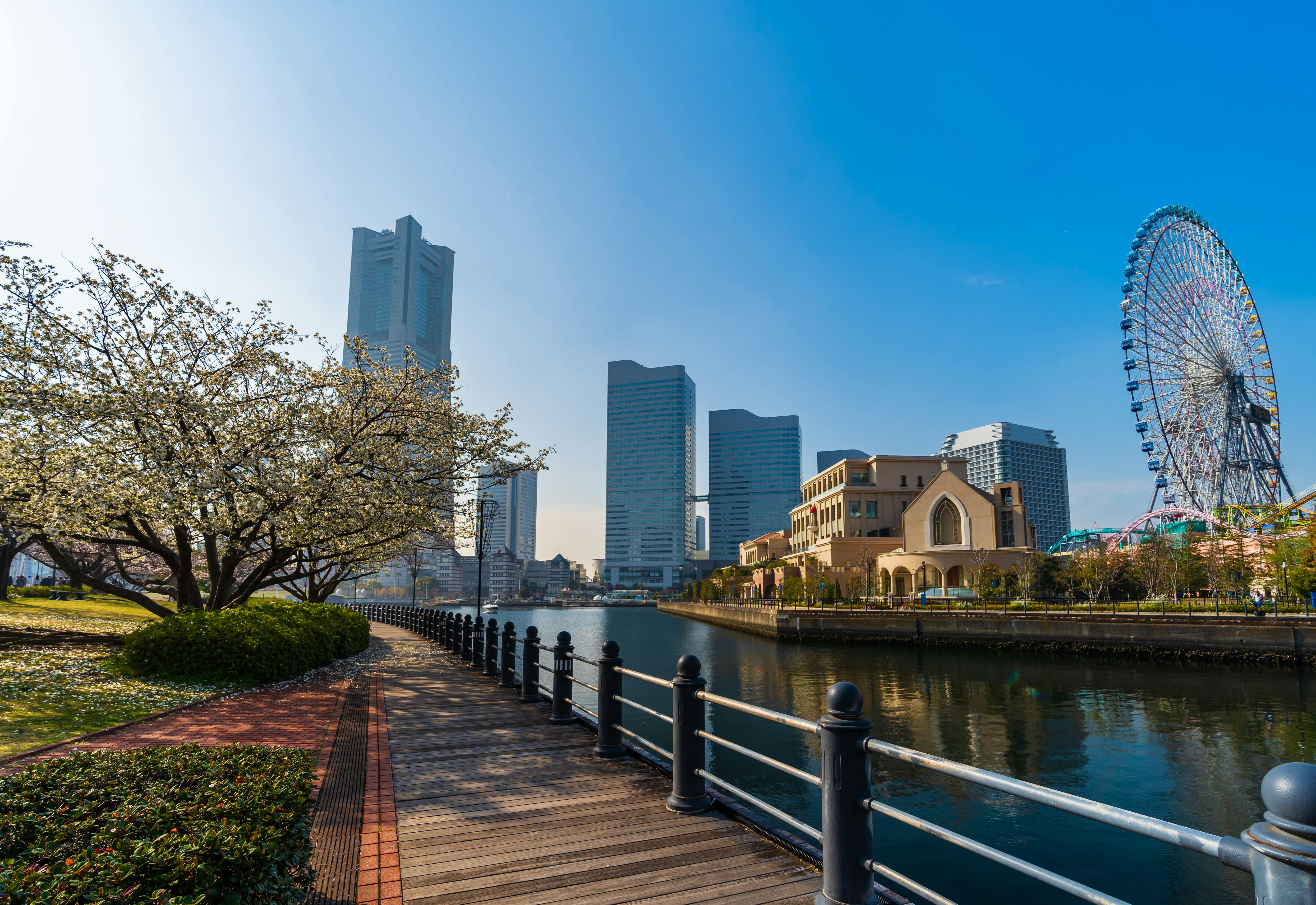 A riverside walkway lined with railings and trees in bloom, with modern skyscrapers and a large Ferris wheel in the background under a clear blue sky.